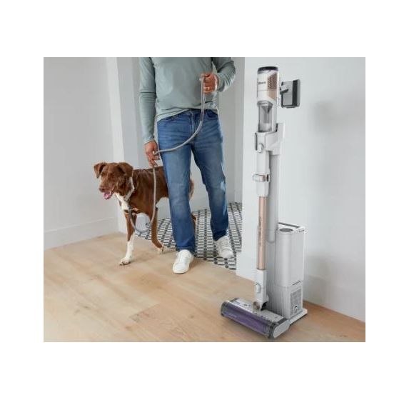 IW3612EUT Detect Clean & Empty Handstaubsauger Beutellos bis 60 min Laufzeit  (Weiß) 