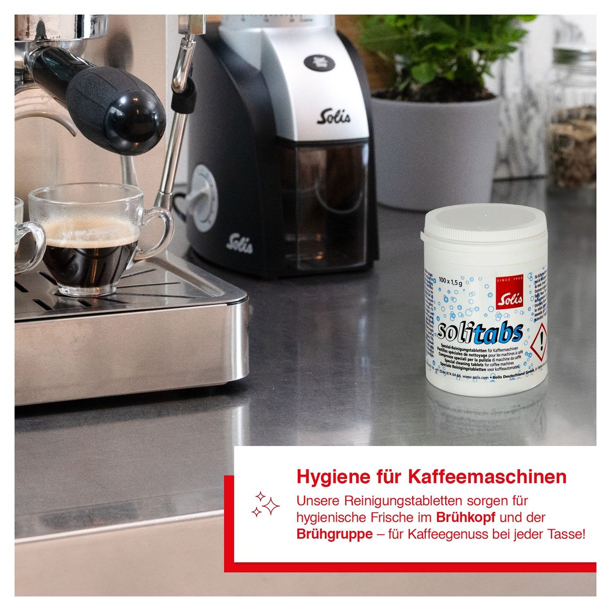 S0223 Reinigungs-Tabletten (100 Stk)  Reinigungstablette 