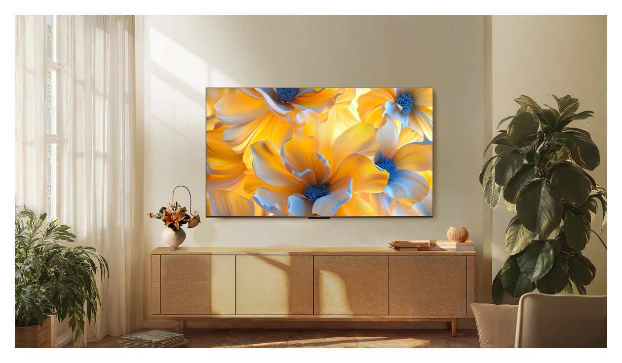 65MQLED75L MiniLed 165,1 cm (65 Zoll) Fernseher 4K Ultra HD VESA 300 x 300 mm 