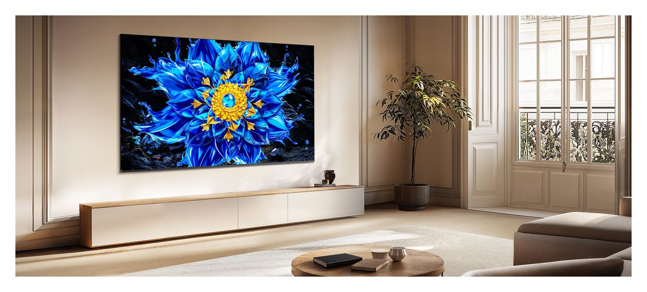 65QLED810L MiniLed 165,1 cm (65 Zoll) Fernseher 4K Ultra HD VESA 400 x 300 mm 