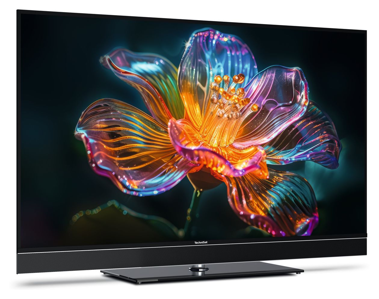 Technivista 65UHD CL LCD/TFT 165,1 cm (65 Zoll) Fernseher 4K Ultra HD VESA 400 x 300 mm  (Schwarz, Titan) 