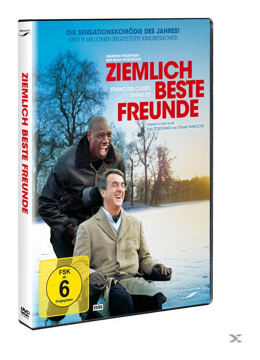 Ziemlich beste Freunde (DVD) 