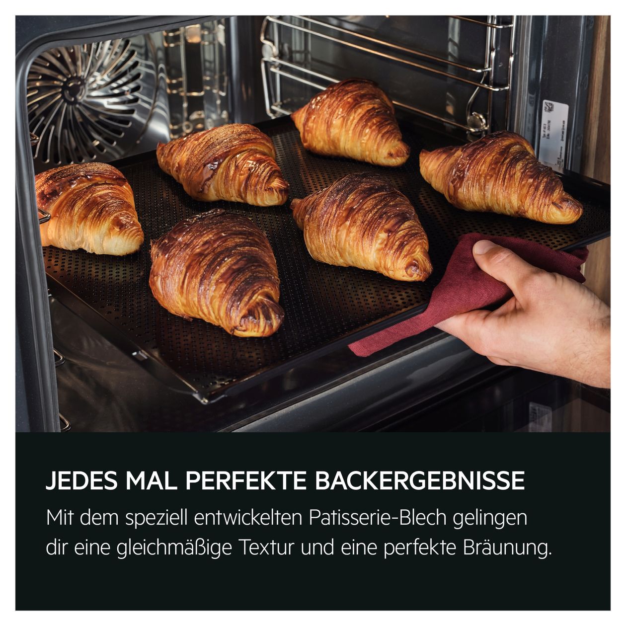Serie 9000 TP9SK821T Einbaubackofen kompakt Dampfgaren AutoClean 