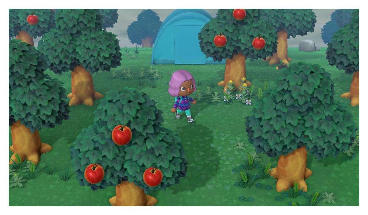 Animal Crossing: New Horizons (Nintendo Switch) 