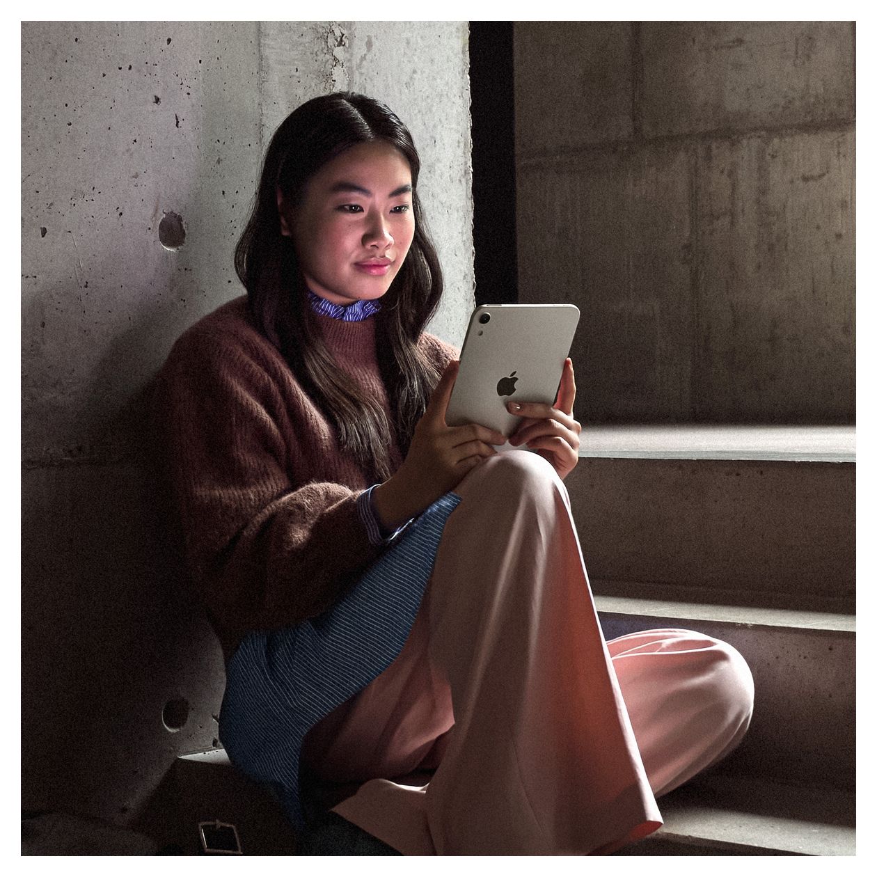 iPad mini 