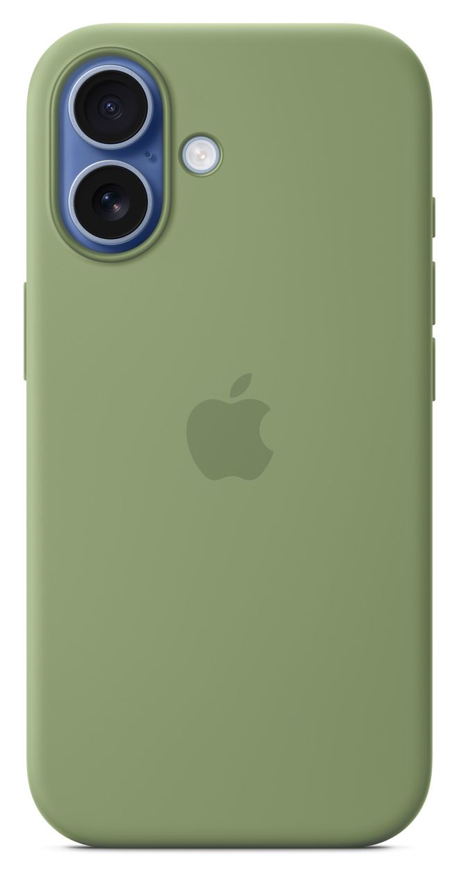 Silikon Case mit MagSafe Cover für Apple iPhone 17  (Grün) 