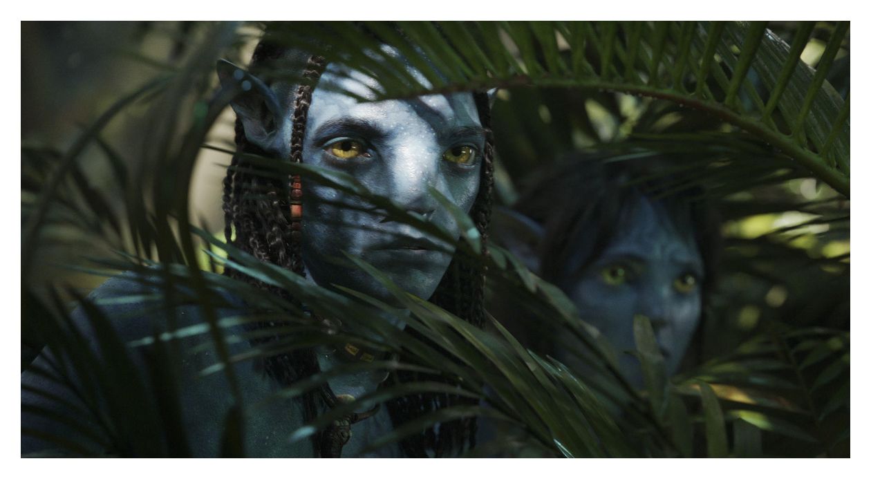 Avatar: The Way of Water (DVD) 
