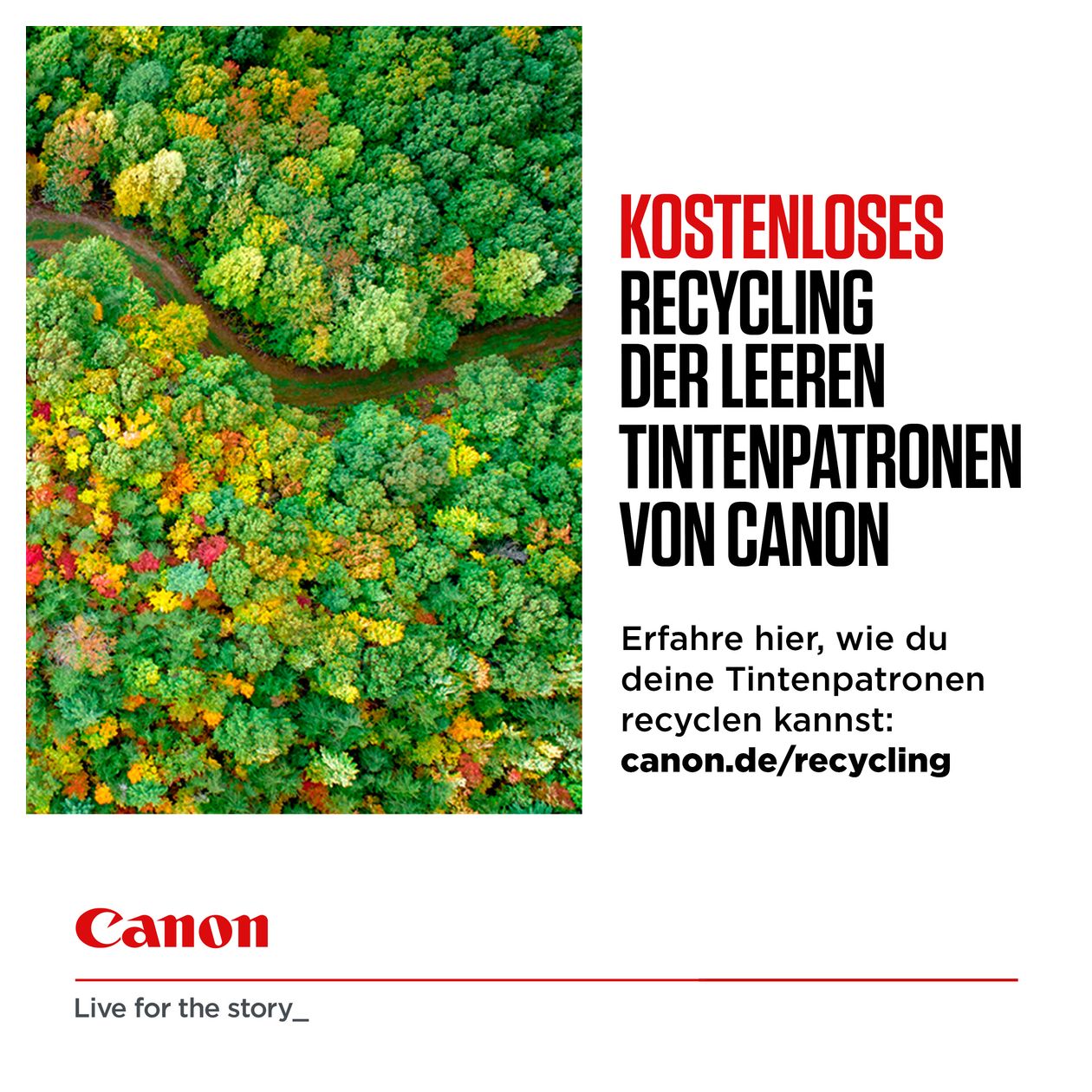 CLI-551XLC originale Druckerpatronen Foto zyan 