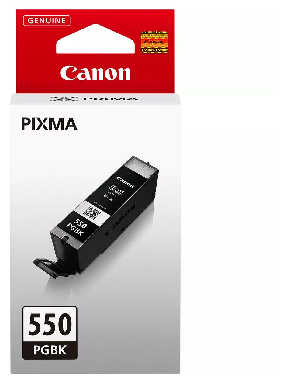 PGI-550PGBK originale Druckerpatronen Schwarz 300 Seiten 