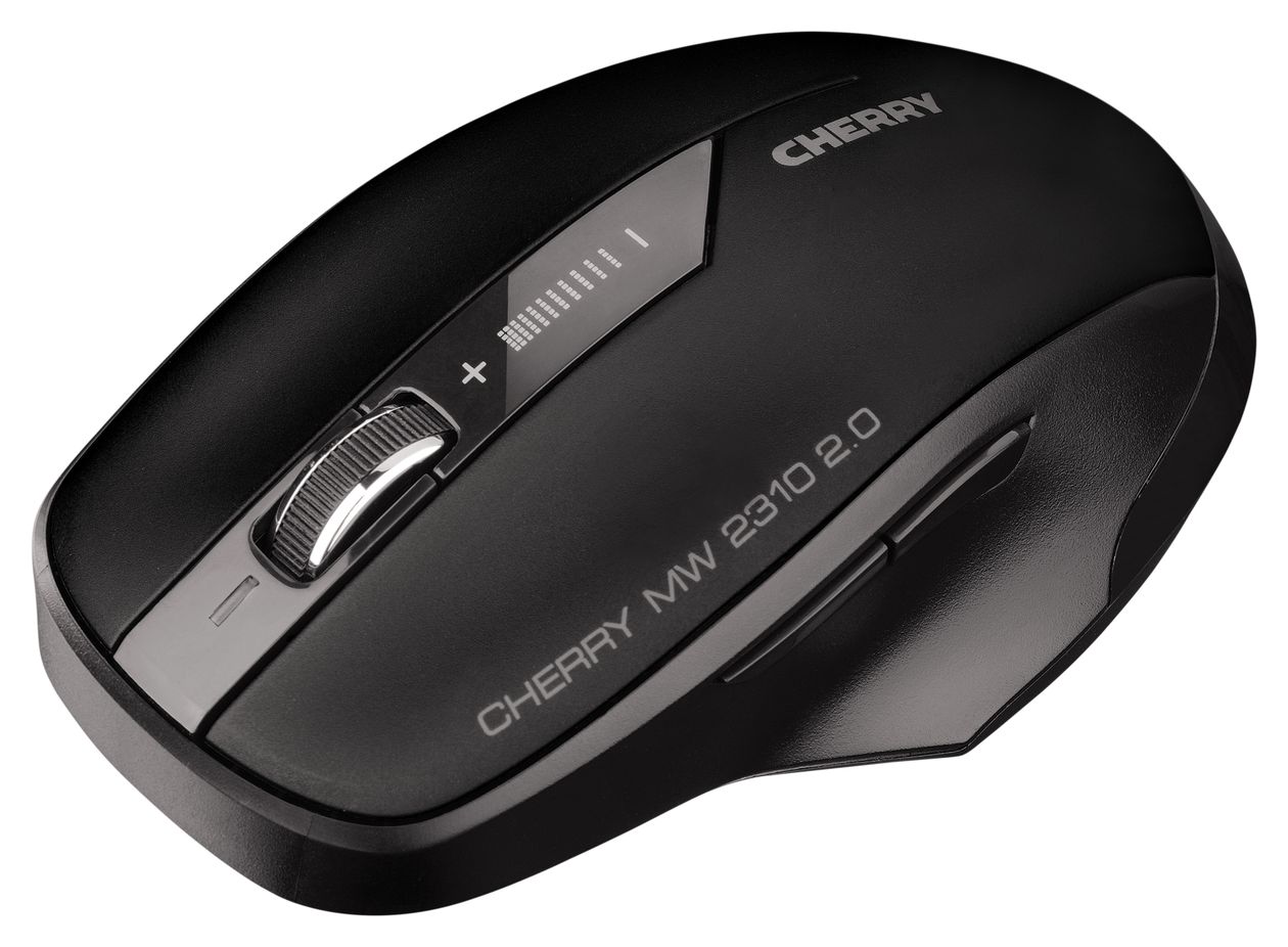 MW2310 2.0 2400 DPI Maus Optisch  (Schwarz) 