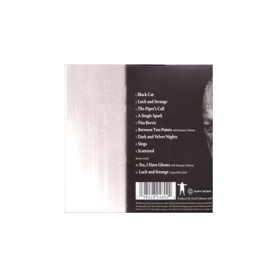 David Gilmour - Luck And Strange 