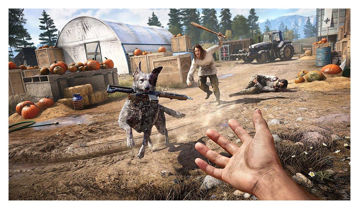 Far Cry 5 Season Pass DE 