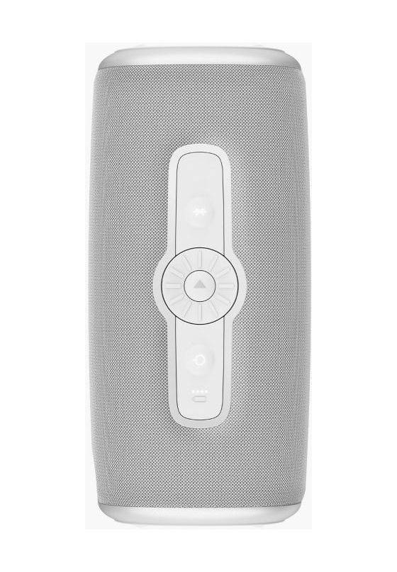 Rockbox Bold L3 40 W Bluetooth Lautsprecher IP67 Laufzeit bis 25 h  (Grau) 