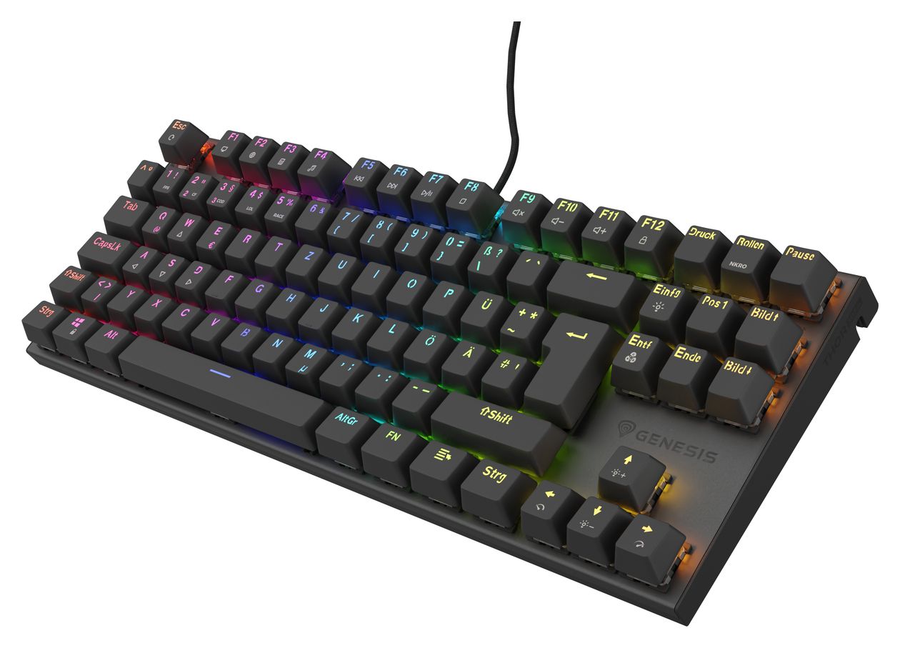 Thor 303 TKL RGB-LED Gaming Tastatur USB  (Schwarz) 