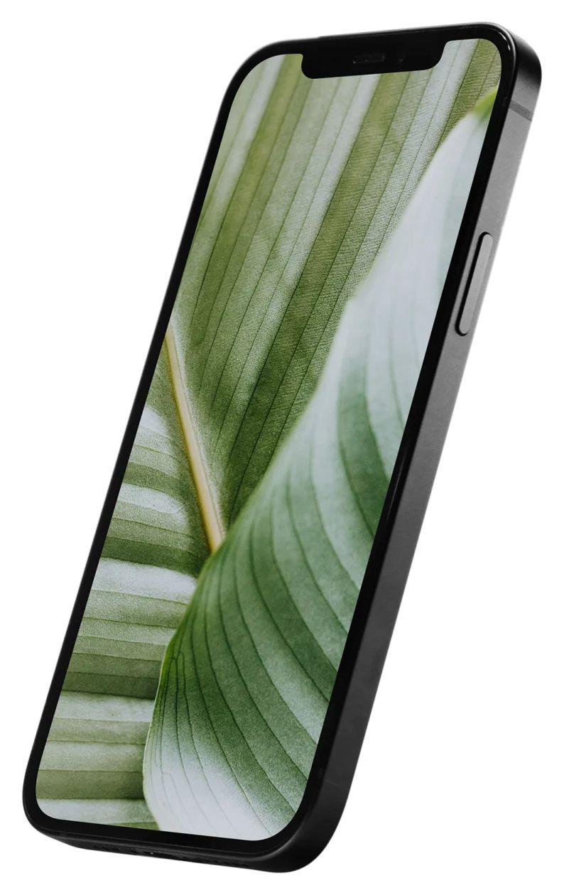 Apple iPhone 12 refurbished 64 GB 5G Smartphone 15,5 cm (6.1 Zoll) IOS 12 MP Dual Kamera Dual Sim  (Schwarz) 