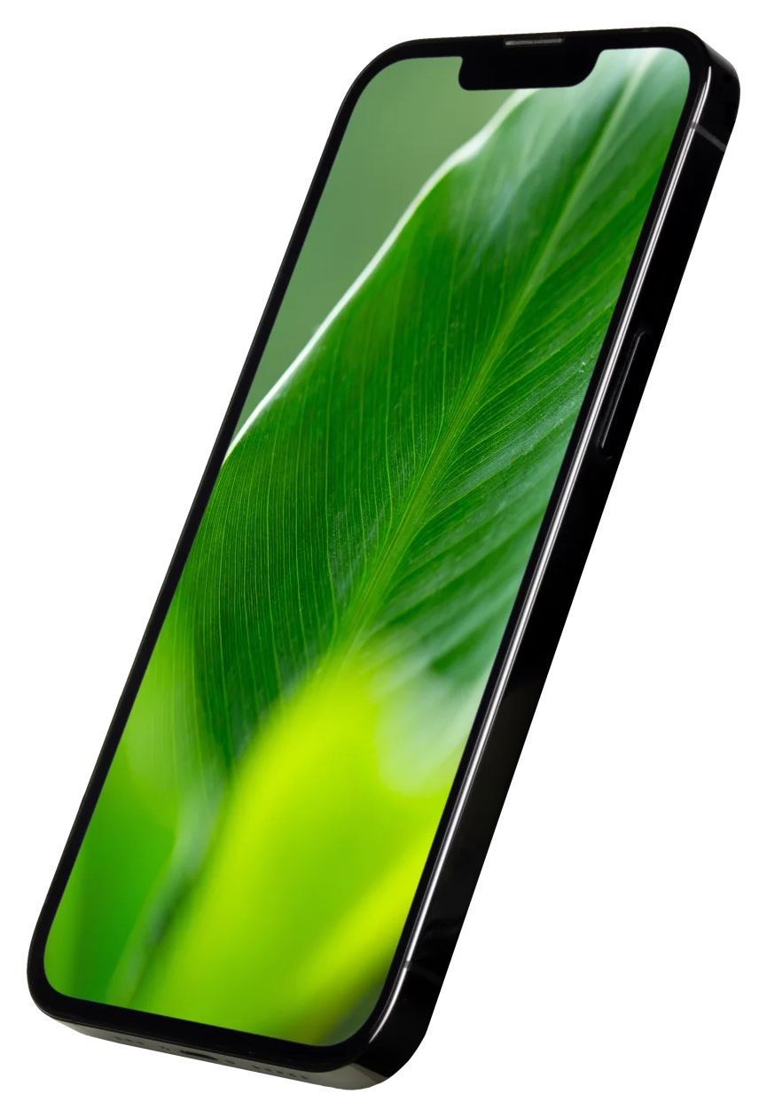 Apple iPhone 13 Pro refurbished 256 GB 5G Smartphone 15,5 cm (6.1 Zoll) IOS 12 MP Dreifach Kamera Dual Sim  (Graphit, Grau) 