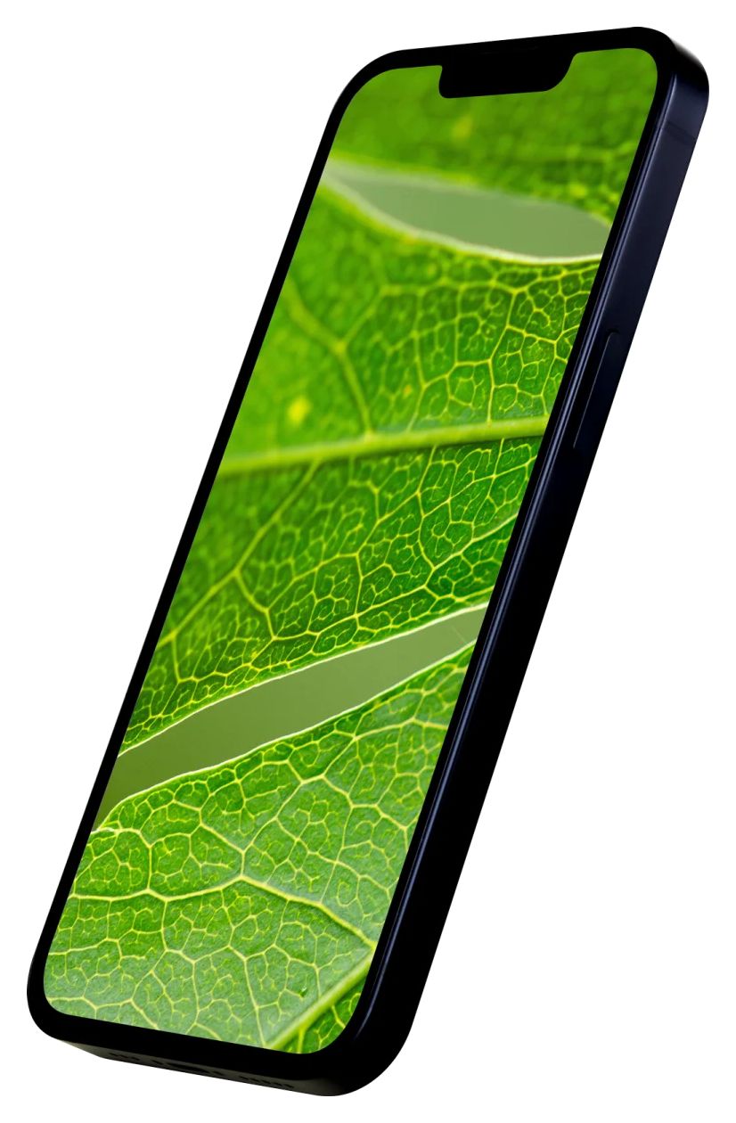 Apple iPhone 13 refurbished 256 GB 5G Smartphone 15,5 cm (6.1 Zoll) IOS 12 MP Dual Kamera Dual Sim  (Dunkelblau) 