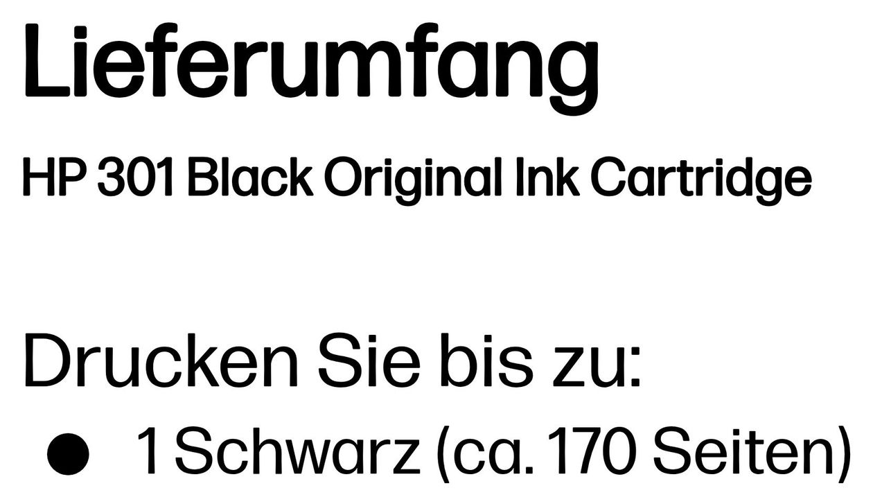 Nr.301 originale Druckerpatrone Schwarz 3 ml 170 Seiten 