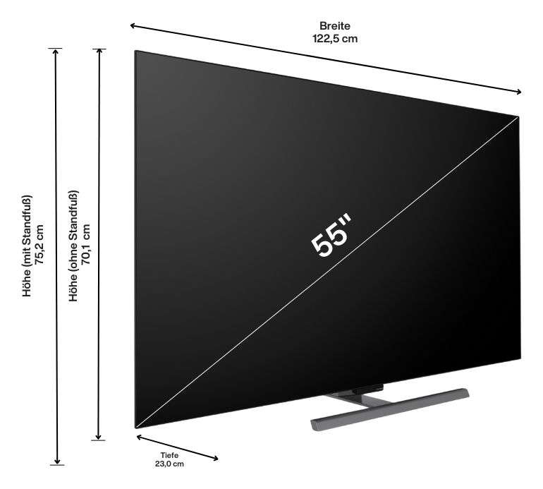 55 OLED EX1 