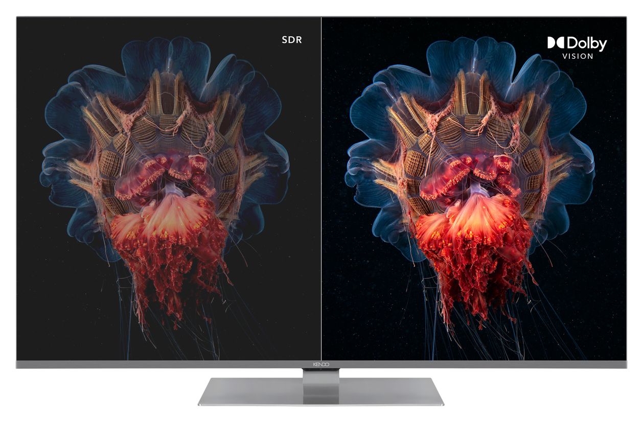65QLED9231TS QLED 165,1 cm (65 Zoll) Fernseher 4K Ultra HD VESA 400 x 200 mm  (Grau) 