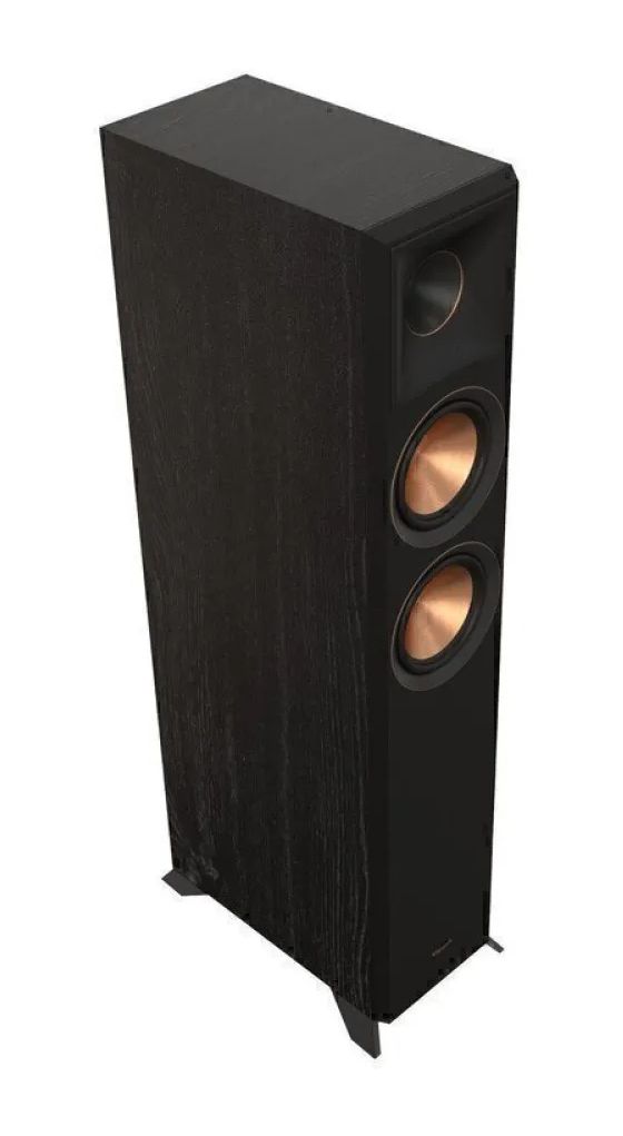 RP-5000F II 100 W 2-Wege Lautsprecher  (Schwarz) 