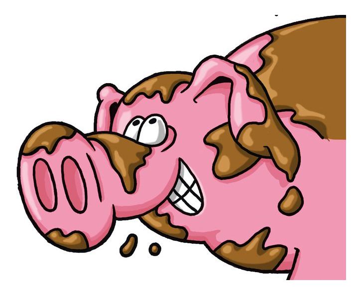 Drecksau 
