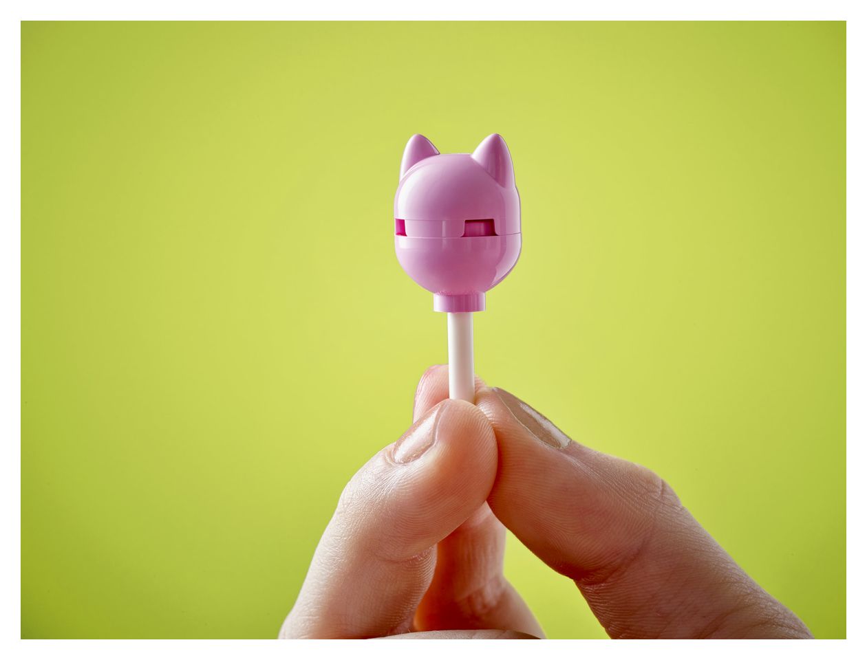 Katzengeburtstagsparty & Baumhaus 