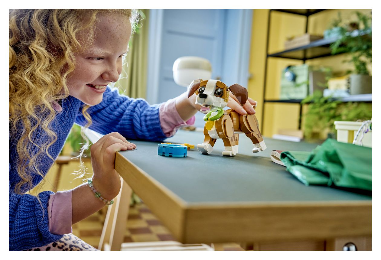 Niedliche Tiere: Verspielter Welpe 