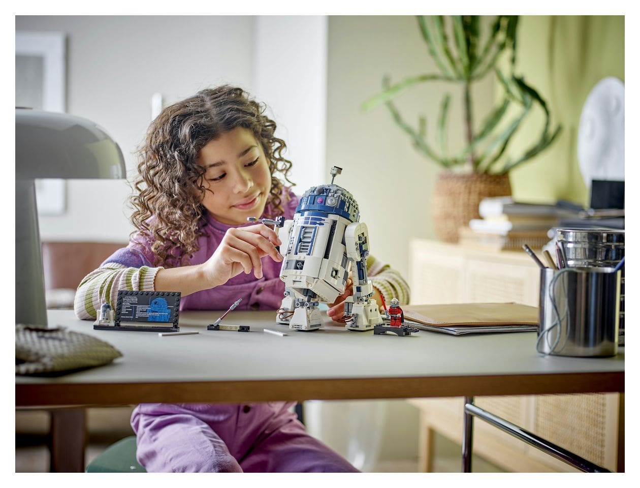R2-D2TM 