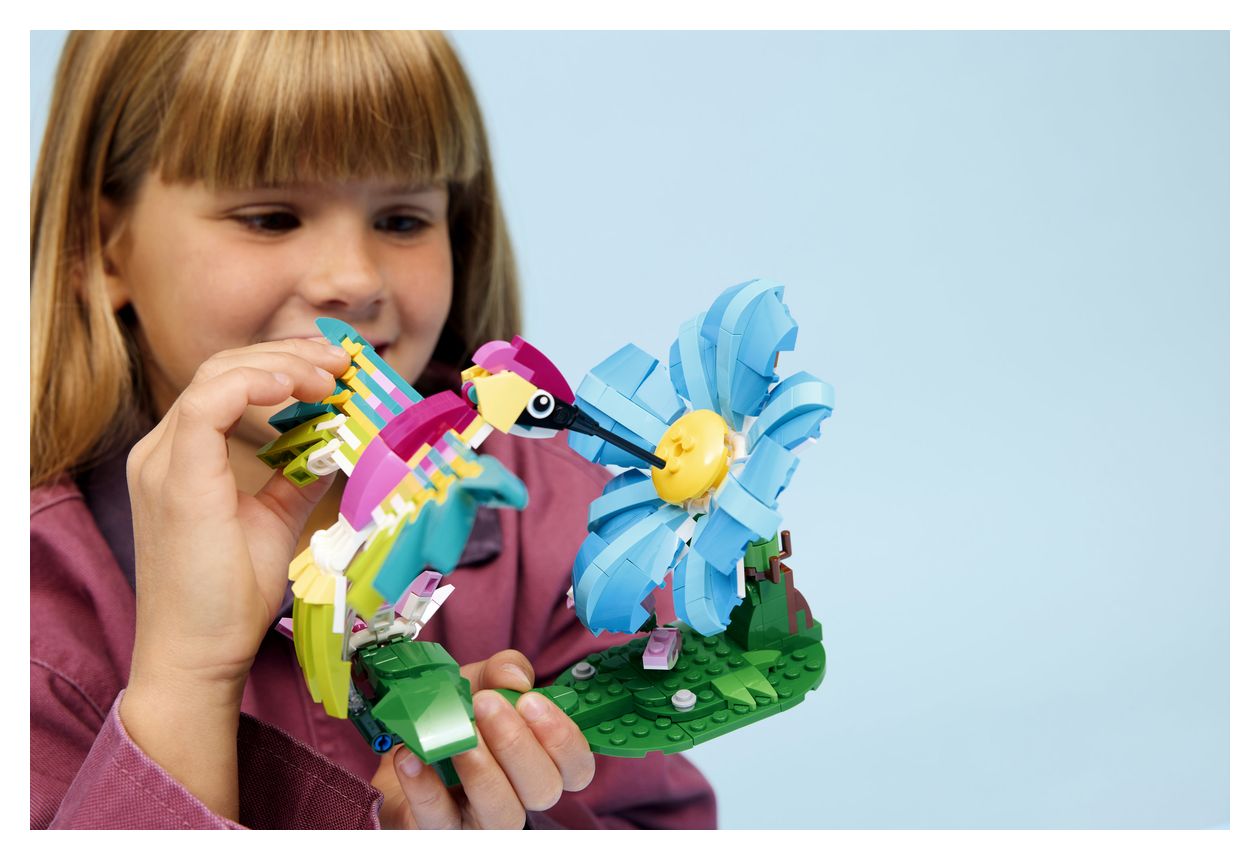 Wilde Tiere: Bunter Kolibri 