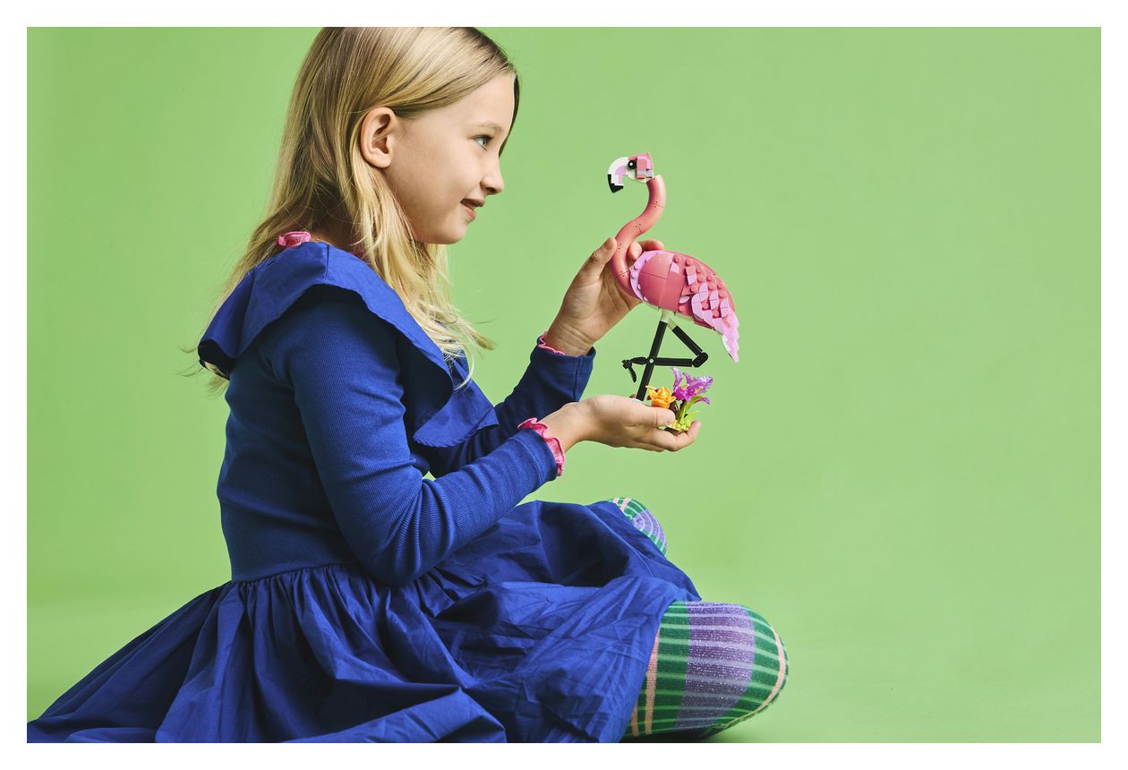 Wilde Tiere: Rosa Flamingo 