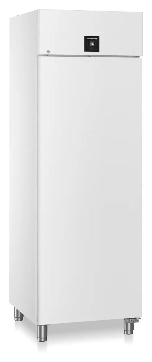 BFPvg6501 Performance 380 l Gefrierschrank 1150 kWh Jahr  (Weiß) 