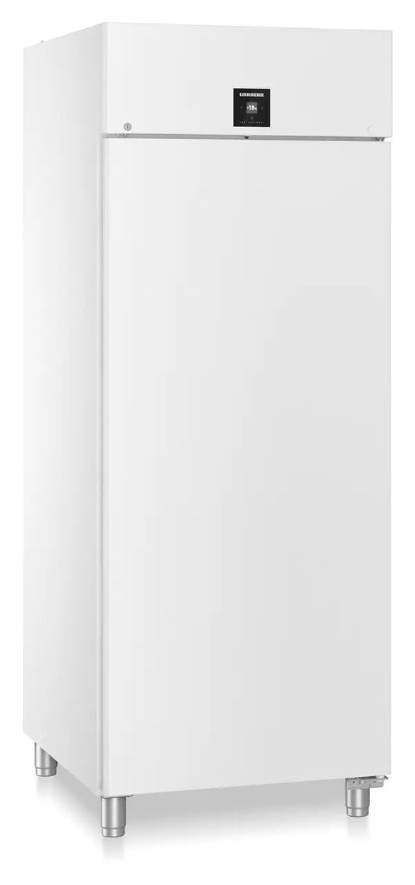 BFPvg8401 Performance 700 l Gefrierschrank 1209 kWh Jahr  (Weiß) 