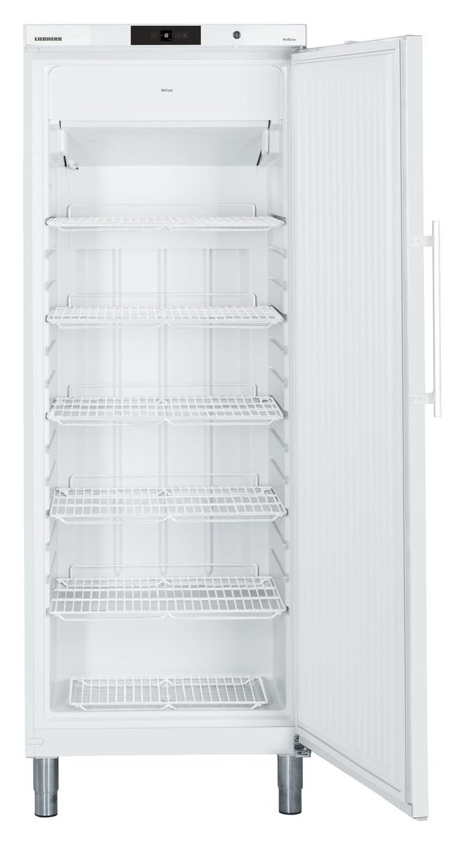 GGv5810-42 377 l Gefrierschrank 1351 kWh Jahr  (Weiß) 