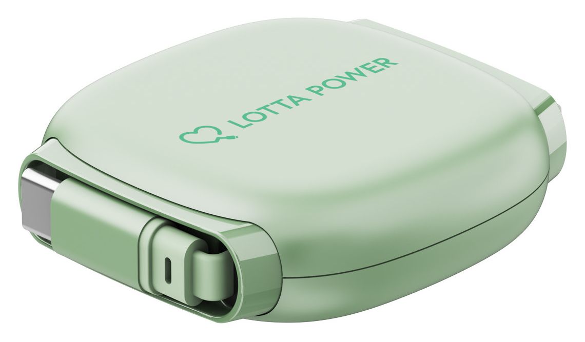 Ausziehbares Ladekabel 0,48 Gbit/s Stecker Rundkabel USB C auf USB C bis 100 W 1 m  (Mint) 