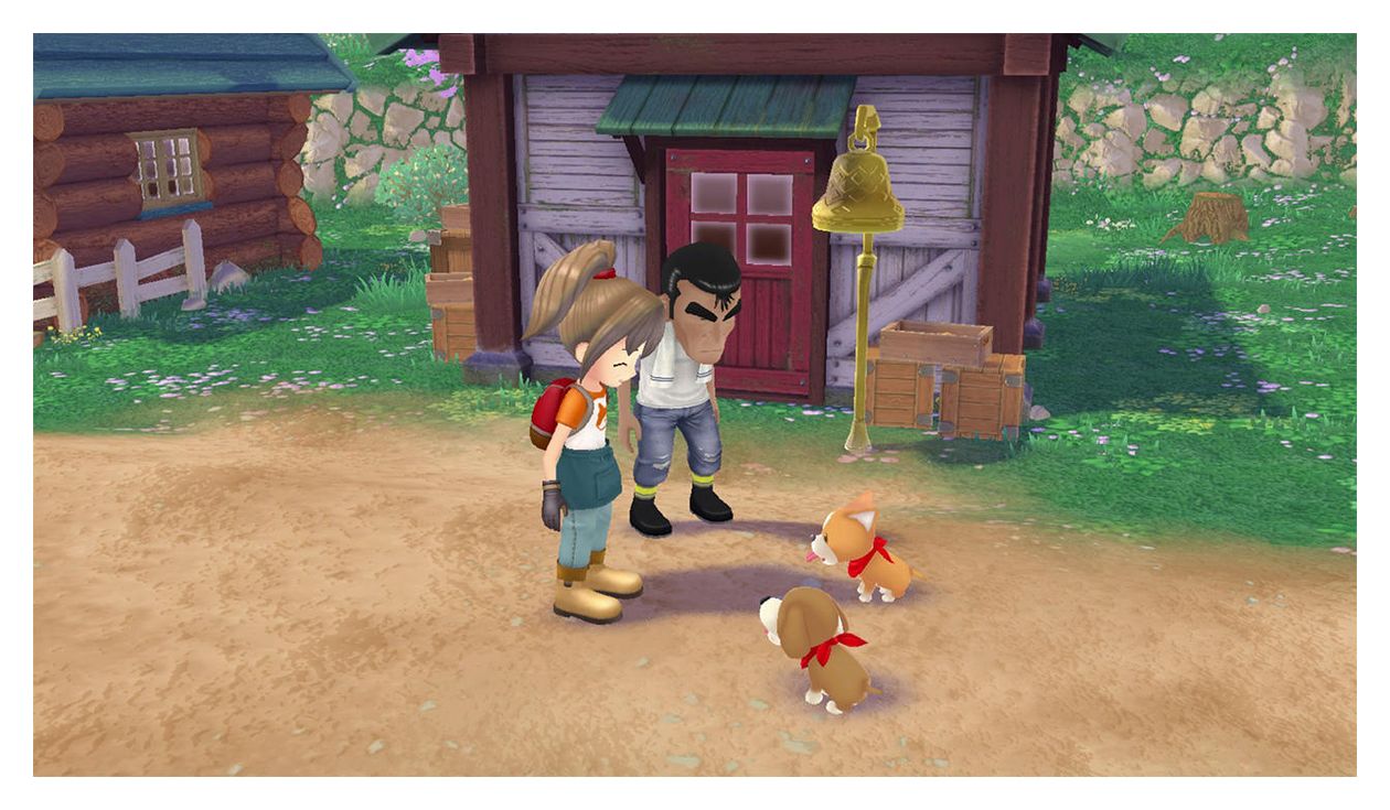 Story of Seasons: A Wonderful Life (Nintendo Switch) 