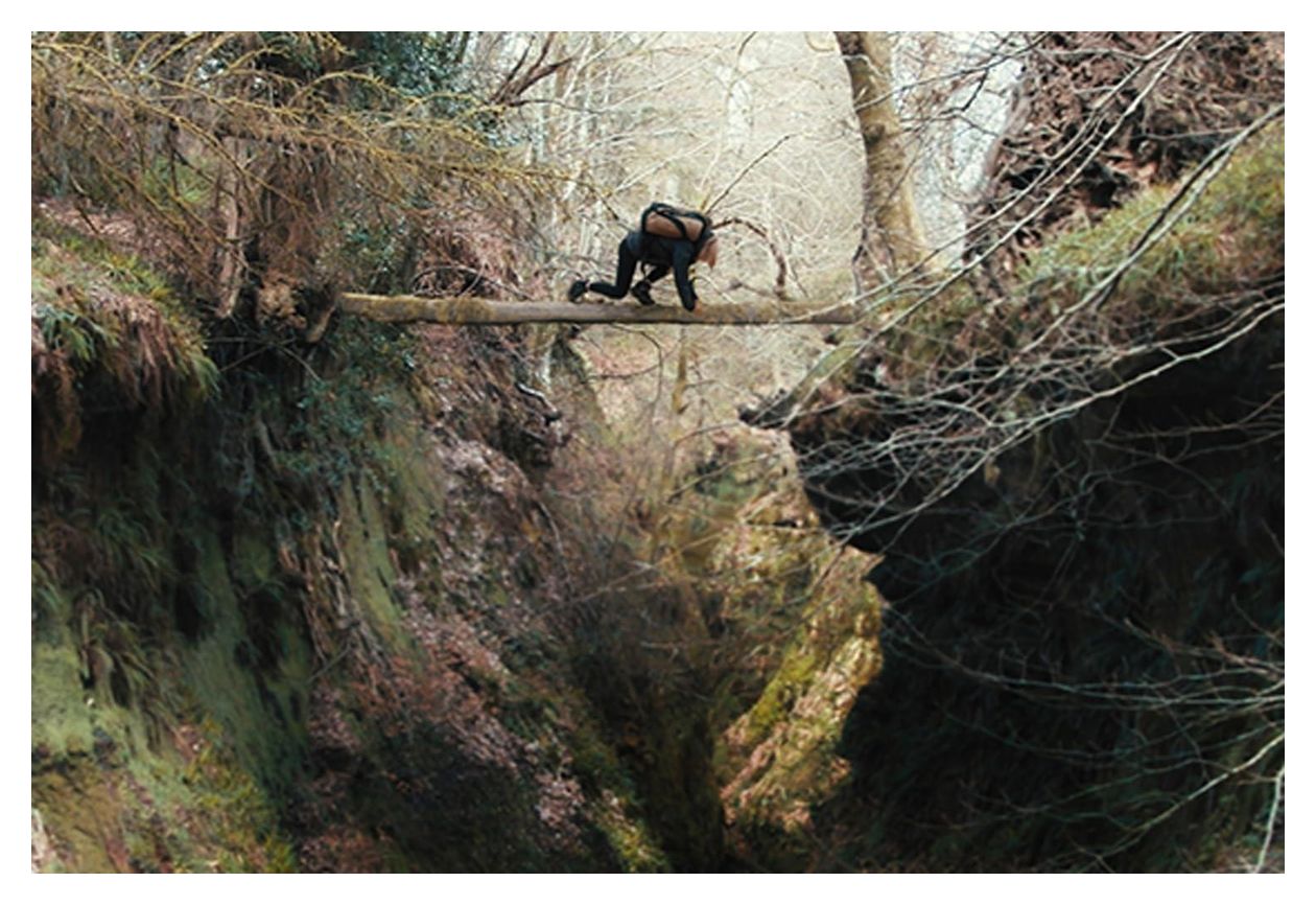 Mercy Falls - How Far would You Fall to Survive? (Blu-Ray) 