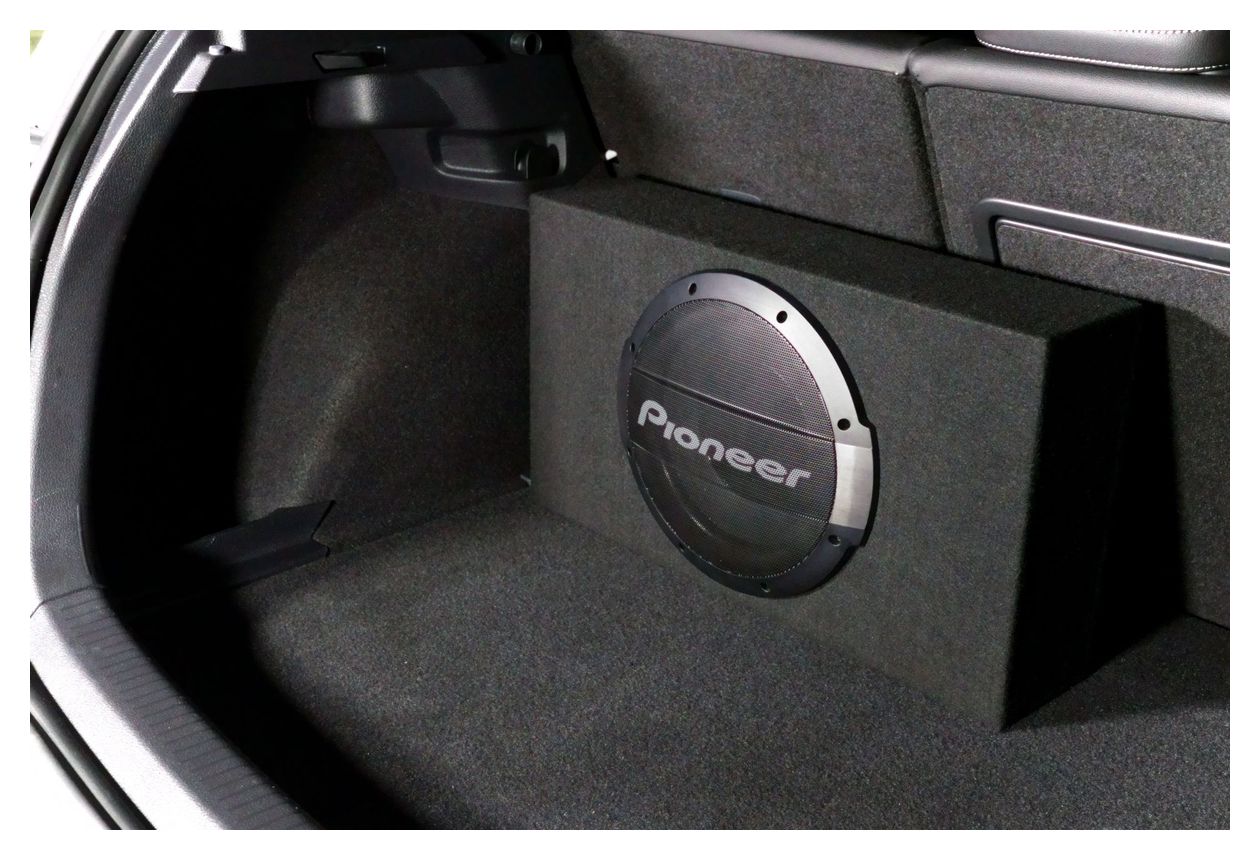 TS-WX1010LA Einbaulautsprecher 