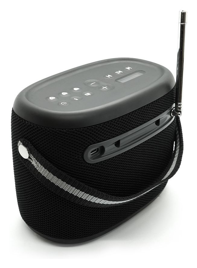 Woodland Bluetooth DAB+, FM Radio Tragbar Wasserdicht IP67  (Schwarz) 