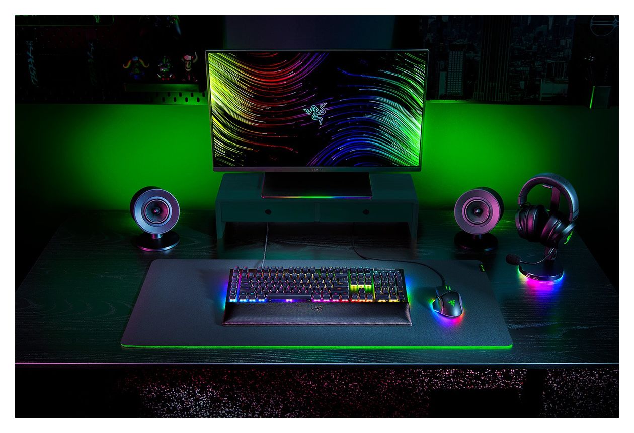 BlackWidow V4 RGB-LED Gaming Tastatur USB  (Schwarz) 