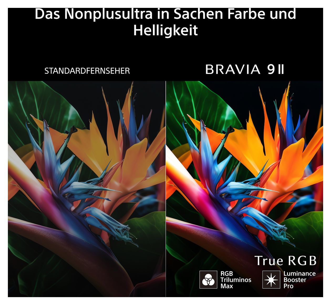 K-115XR95M2 BRAVIA 9 II LED 2,92 m (115") Fernseher 4K Ultra HD 