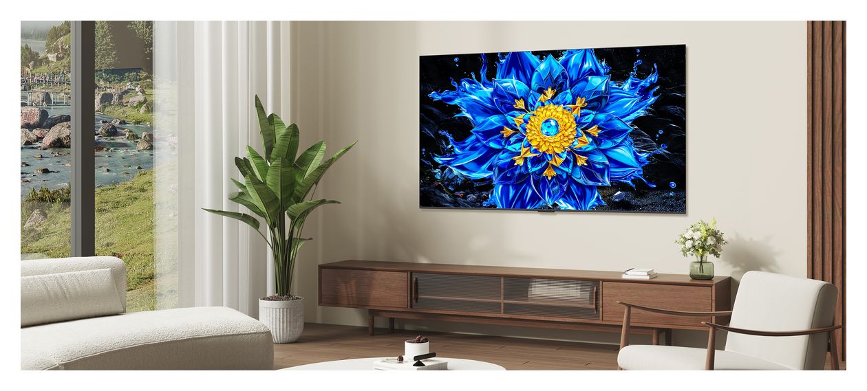 65QLED810L MiniLed 165,1 cm (65 Zoll) Fernseher 4K Ultra HD VESA 400 x 300 mm 