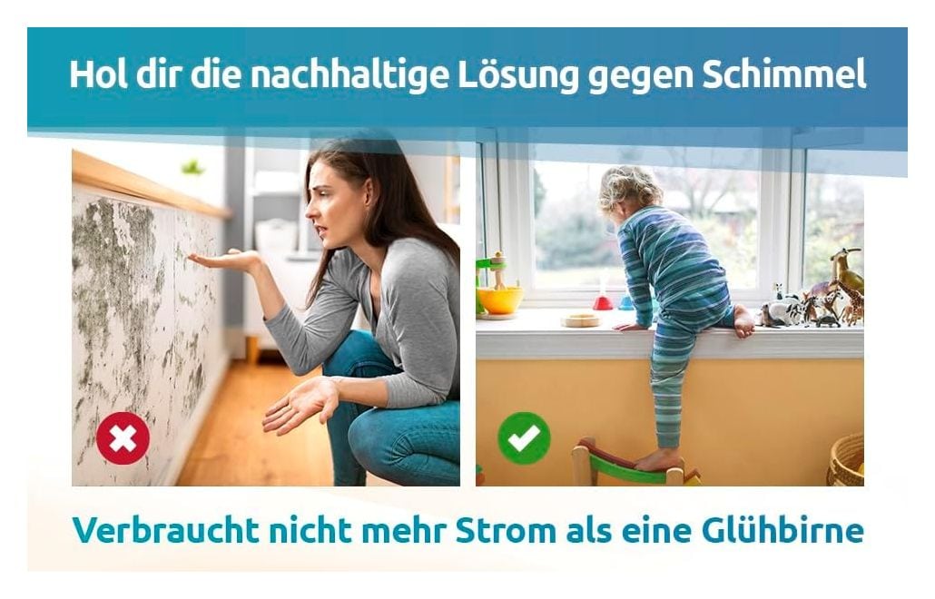 Schimmel Dry M2 Erweiterung Wand 