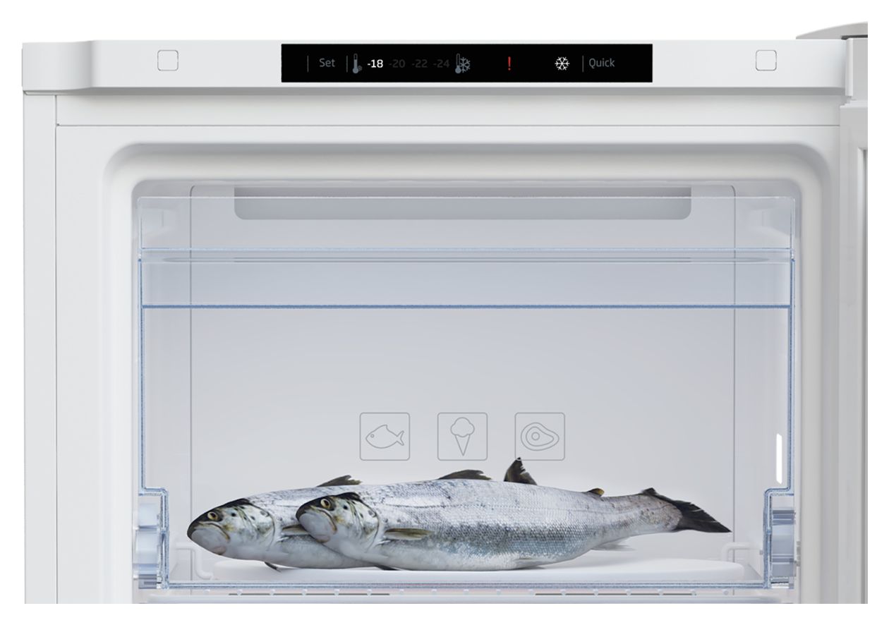 RFNM200T40WN 177 l Gefrierschrank 211 kWh Jahr NoFrost  (Weiß) 