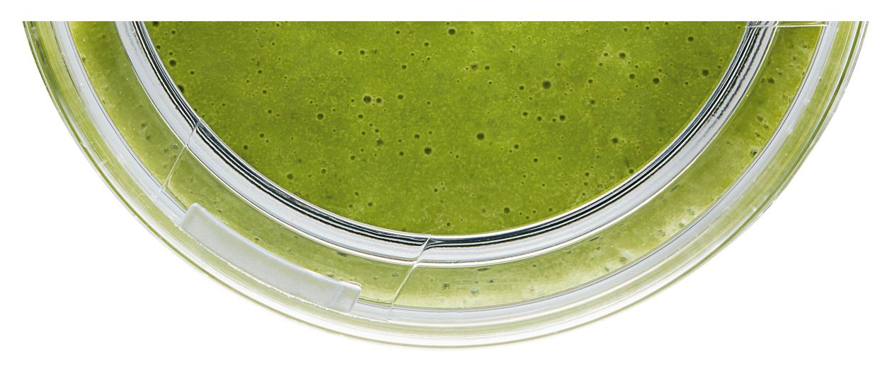 MMZV0BT1 VitaMaxx Trinkflasche Tritan (Schwarz, Transparent) 