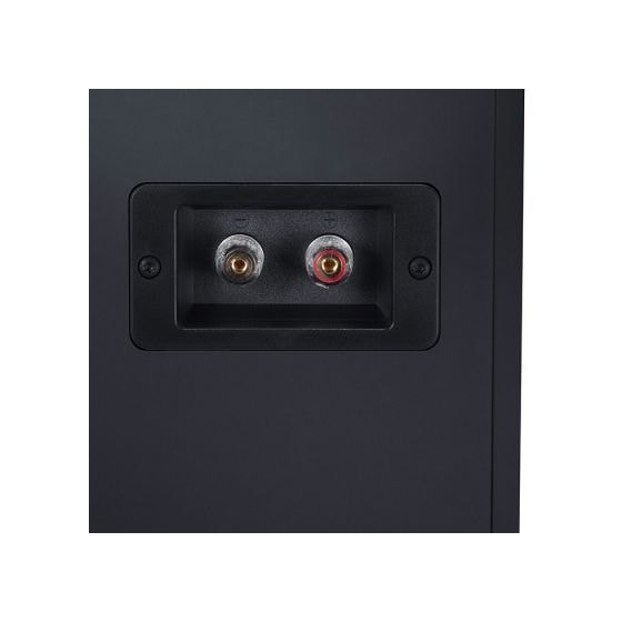 GLE10 PRO S2 60 W 2-Wege Lautsprecher  (Schwarz) 