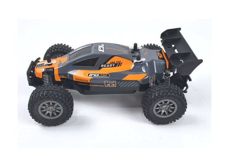 Rookie Fighter Buggy 