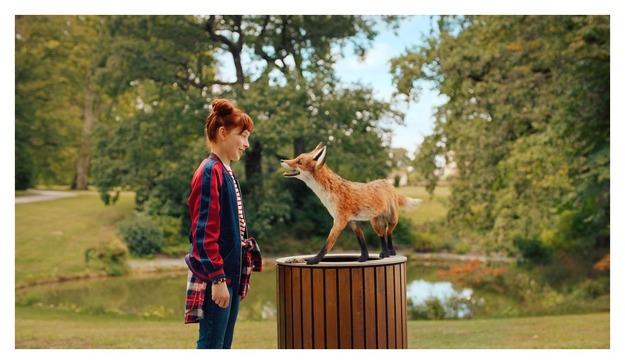 Die Schule der magischen Tiere (DVD) 