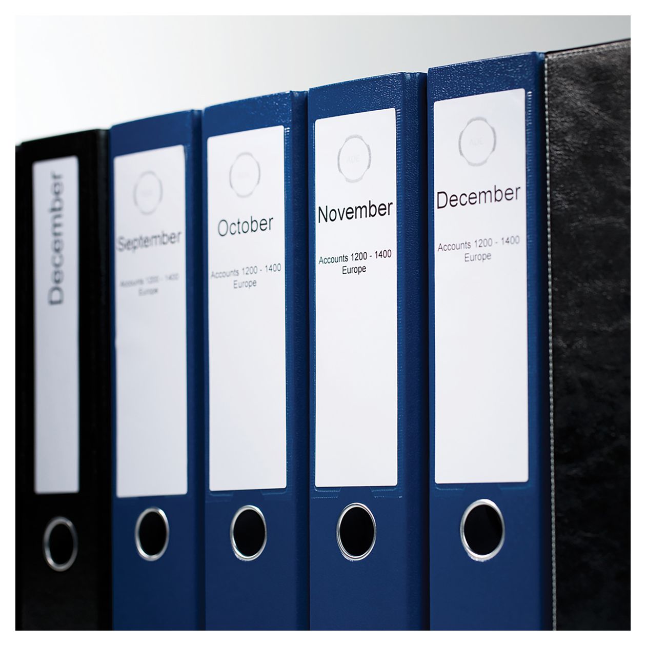 DYMO Original LabelWriter-Mehrzwecketiketten/große Ordnerrücken-Etiketten | 59 mm x 190 mm | Rolle mit 110 leicht ablösbaren Etiketten | selbstklebend | für LabelWriter Etikettendrucker 