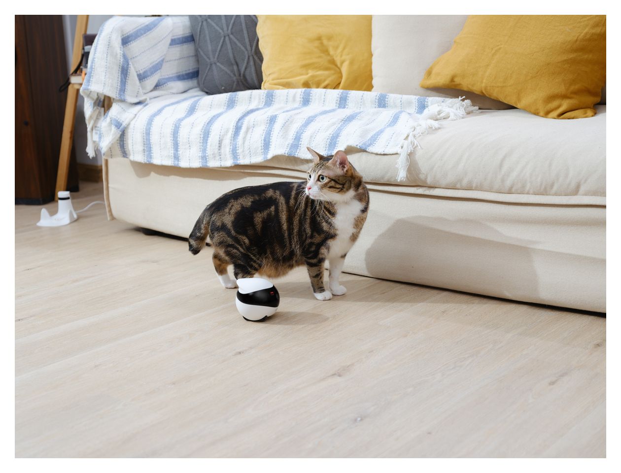 Ebo SE  (Schwarz, Weiß) 